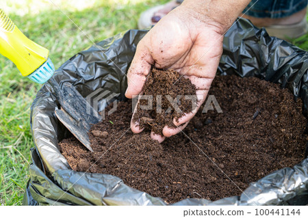 Hand holding peat moss organic matter improve soil for agriculture organic plant growing, ecology concept. 100441144