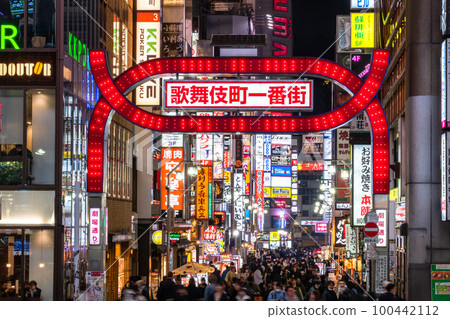 "Tokyo" Shinjuku Kabukicho, entertainment district "High angle" 100442112