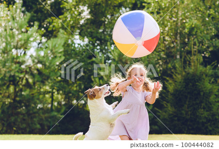 Little girl playing with her pet dog and beach ball at backyard lawn on summer day 100444082