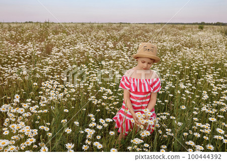 Little girl in a field of flowers Little girl in a field of flowers 100444392