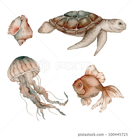 Set of sea animals poster. Blue, greeen, brown watercolor ocean jellyfish, medusa, fish aquarium, shell. Nautical wildlife marine illustration 100445725