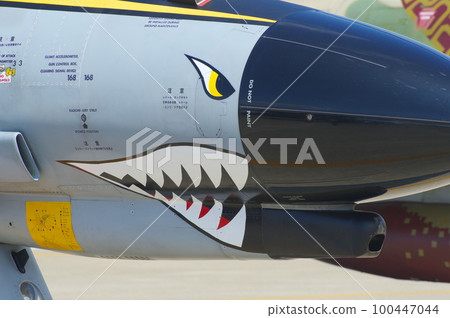 JASDF F-4EJ Phantom nose JASDF F-4EJ Phantom nose 100447044