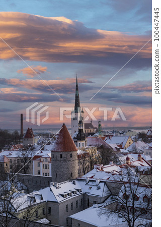 view of the old town and the town hall on the roofs of houses in the center of Tallinn Estonia view of the old town and the town hall on the roofs of houses in the center of Tallinn Estonia 100447445