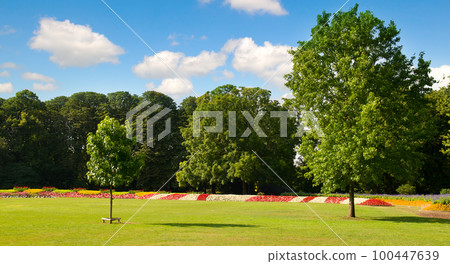 Beautiful garden with a flower garden and a lawn. Wide photo. Beautiful garden with a flower garden and a lawn. Wide photo. 100447639