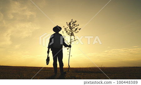 farmer goes plant tree sunset. gardener planting seedlings in the ground. Agriculture. farming concept. eco.farmer farmland. a man with a shovel plants fresh tree sprouts in a park field at sunset farmer goes plant tree sunset. gardener planting seedlings in the ground. Agriculture. farming concept. eco.farmer farmland. a man with a shovel plants fresh tree sprouts in a park field at sunset 100448389