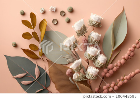 Composition of flowers. Eucalyptus leaves and cotton flower. Illustration AI Generative 100448593