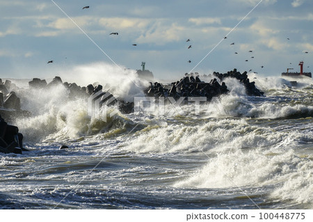 Coastal storm in the Baltic Sea, big waves crash against the harbor breakwater, breaking wave 100448775