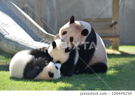 吉濱媽媽和女兒玩耍 100449256