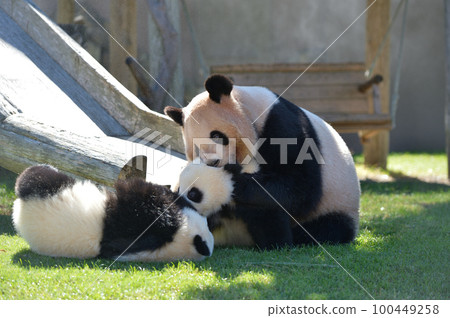 吉濱媽媽和女兒玩耍 吉濱媽媽和女兒玩耍 100449258