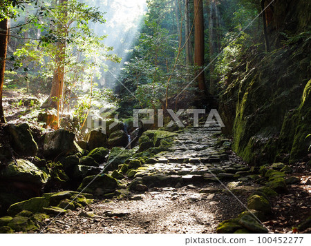 Scenery of mountain stream with rays of light 100452277
