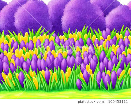 Flower bed with blooming crocuses AI illustration 100453111