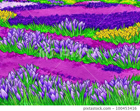 Flower bed with blooming crocuses AI illustration 100453416