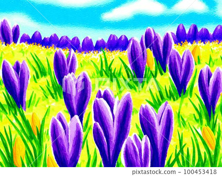 Flower bed with blooming crocuses AI illustration 100453418