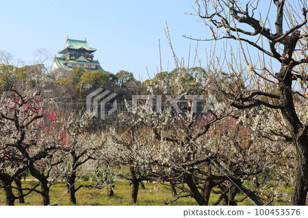 Osaka Castle Plum Grove / Special Historic Site Osaka Castle Park Osaka Castle Plum Grove / Special Historic Site Osaka Castle Park 100453576