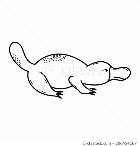 Duckbill. Animals of Australia. Vector doodle illustration. Sketch. 100454267