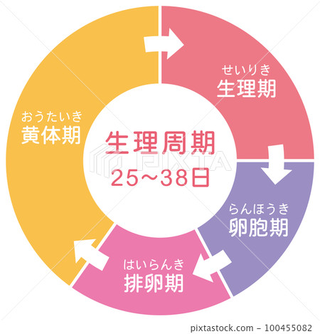 Menstrual cycle menstrual cycle pie chart 100455082