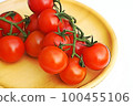 Pastel style "mini tomato with branch" illustration image 100455106