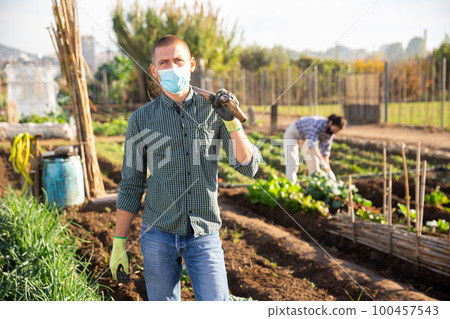 Gardener in protective mask standing with shovel in vegetable garden 100457543