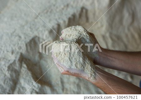 Closeup of handful of soy flour in male hands 100457621