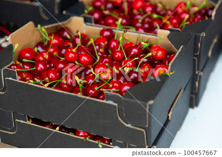 Photo of fresh cherries 100457667