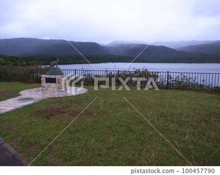 Iriomote Island 100457790