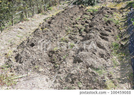 夏菜整地 翻耕後 100459088