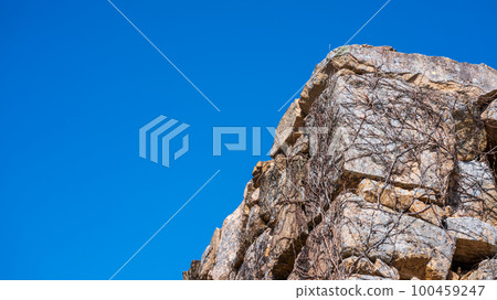 Ishigaki castle wall 100459247