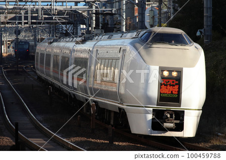 Limited express Swallow Akagi bound for Shinjuku (651 series train) Limited express Swallow Akagi bound for Shinjuku (651 series train) 100459788