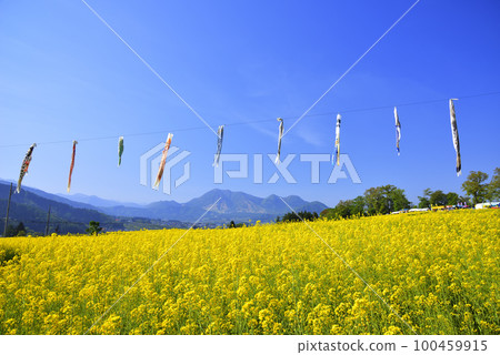 強姦開花 強姦開花 100459915