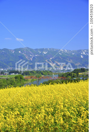 強姦開花 100459920