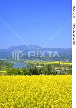 強姦開花 強姦開花 100459926