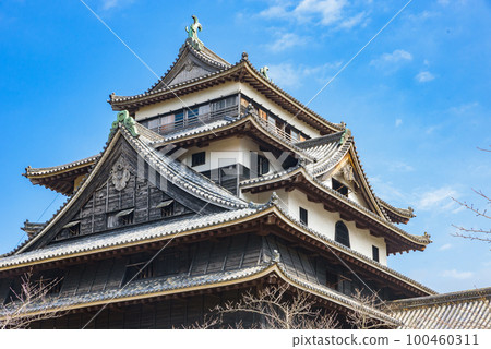 [National Treasure] Matsue Castle Tower, Matsue City, Shimane Prefecture 100460311