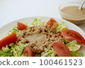Sesame Dressing Salad 100461523