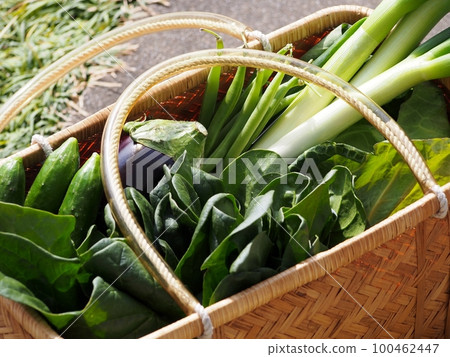 Various fresh vegetables in the shopping basket Various fresh vegetables in the shopping basket 100462447