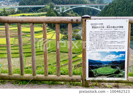 《Wakayama Prefecture》Aragi Island Terraced Rice Fields 100462523