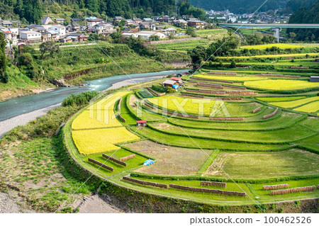 《Wakayama Prefecture》Aragi Island Terraced Rice Fields 100462526
