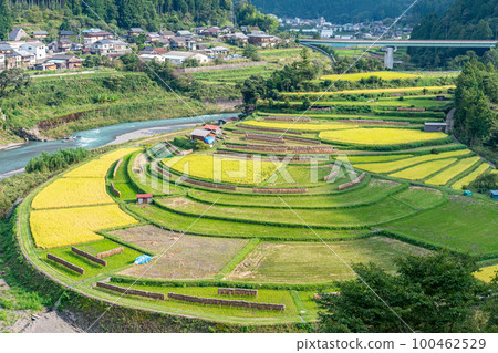 《Wakayama Prefecture》Aragi Island Terraced Rice Fields 100462529