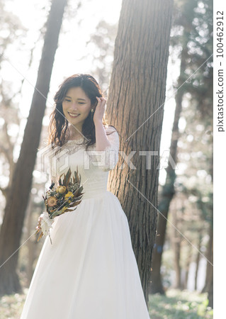 bride with bridal wedding image bouquet bride with bridal wedding image bouquet 100462912