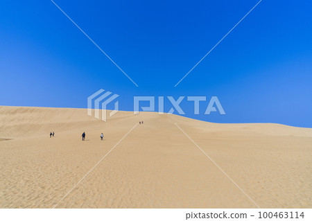 《Tottori Prefecture》 Tottori Sand Dunes (natural monument) 《Tottori Prefecture》 Tottori Sand Dunes (natural monument) 100463114