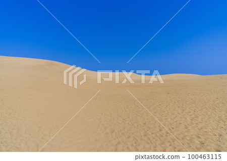《Tottori Prefecture》 Tottori Sand Dunes (natural monument) 《Tottori Prefecture》 Tottori Sand Dunes (natural monument) 100463115
