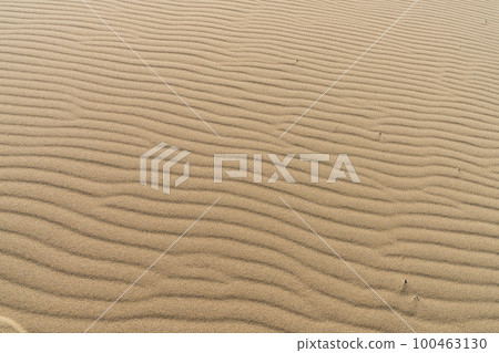 《Tottori Prefecture》 Tottori Sand Dunes (natural monument) 100463130