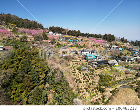 Hometown of Hanamo Hometown of Hanamo 100463218