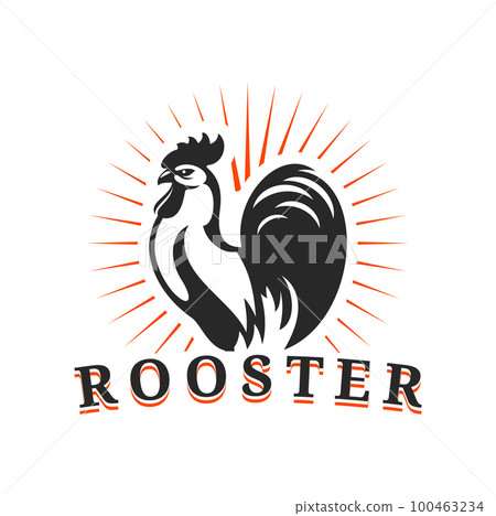 Agriculture and farm rooster icon. Vector cockerel silhouette and rays label. Isolated emblem with chicken cock for livestock farm production, poultry rustic farm, domestic fowl or gamecock 100463234