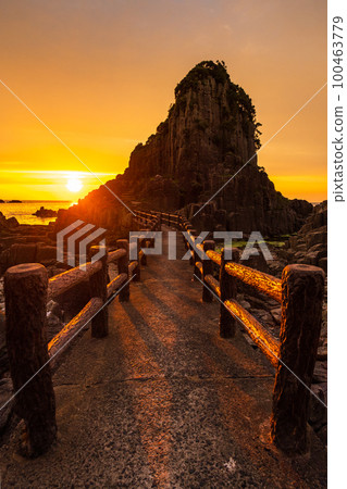 橫島（夜景） 100463779