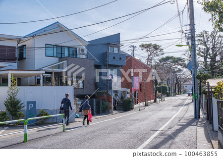 東京世田谷區海螺山街，長谷川真知子美術館前的街道 100463855