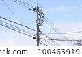 Telephone pole 100463919