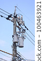 Telephone pole 100463921