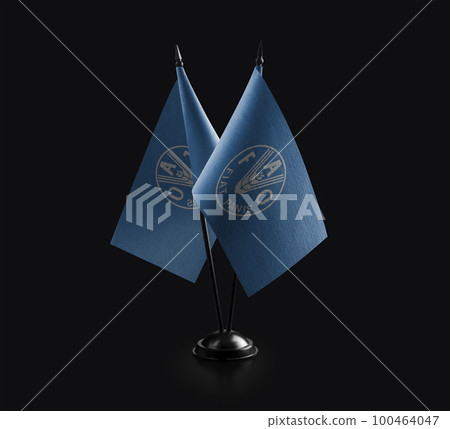 Small national flags of the Food and agriculture organization on a black background 100464047