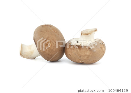Baby portobellos mushrooms isolated on white Baby portobellos mushrooms isolated on white 100464129