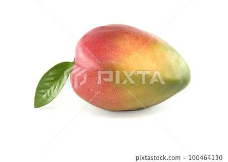 Ripe mango fruit isolated on a white Ripe mango fruit isolated on a white 100464130